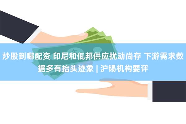 炒股到哪配资 印尼和佤邦供应扰动尚存 下游需求数据多有抬头迹象 | 沪锡机构要评