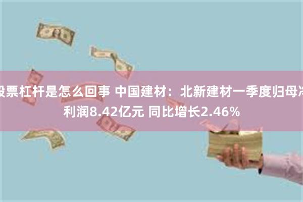 股票杠杆是怎么回事 中国建材：北新建材一季度归母净利润8.42亿元 同比增长2.46%