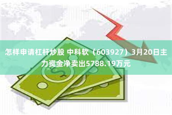 怎样申请杠杆炒股 中科软（603927）3月20日主力资金净卖出5788.19万元
