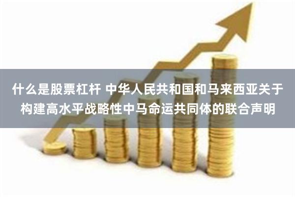 什么是股票杠杆 中华人民共和国和马来西亚关于构建高水平战略性中马命运共同体的联合声明