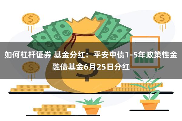 如何杠杆证券 基金分红：平安中债1-5年政策性金融债基金6月25日分红