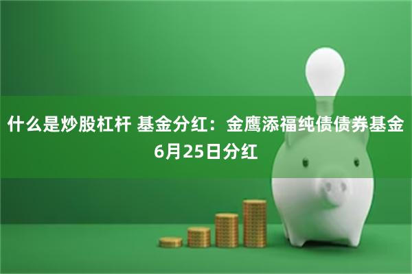 什么是炒股杠杆 基金分红：金鹰添福纯债债券基金6月25日分红