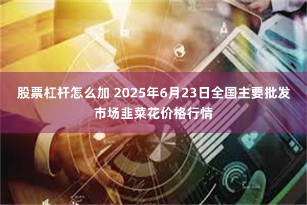 股票杠杆怎么加 2025年6月23日全国主要批发市场韭菜花价格行情