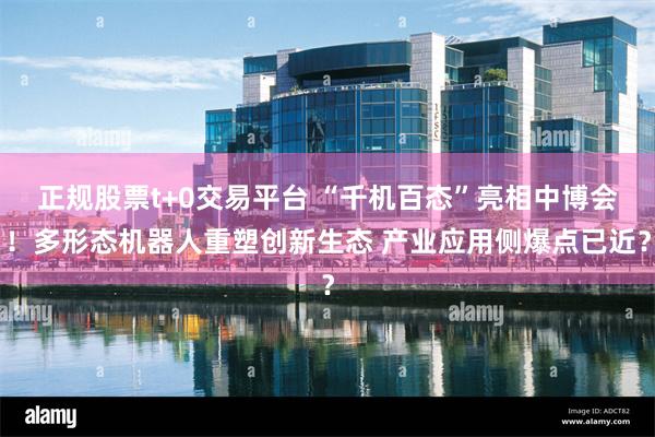 正规股票t+0交易平台 “千机百态”亮相中博会！多形态机器人重塑创新生态 产业应用侧爆点已近？