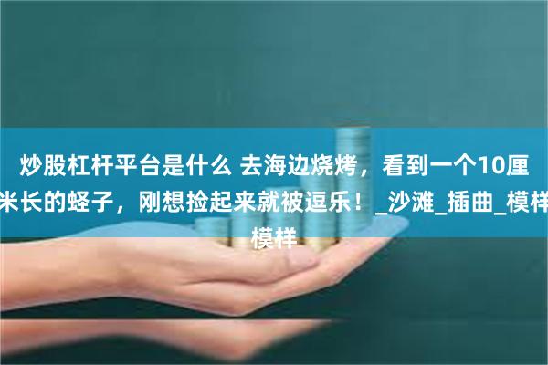 炒股杠杆平台是什么 去海边烧烤，看到一个10厘米长的蛏子，刚想捡起来就被逗乐！_沙滩_插曲_模样