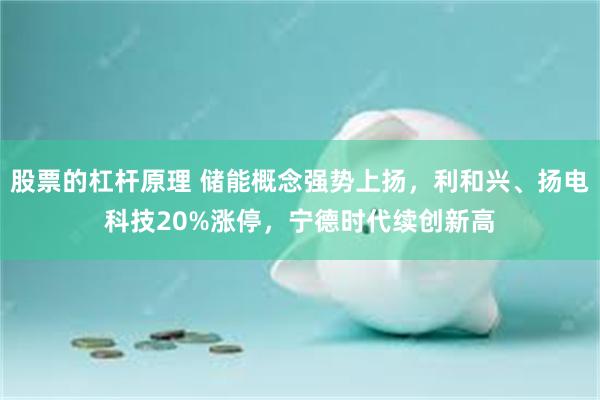 股票的杠杆原理 储能概念强势上扬，利和兴、扬电科技20%涨停，宁德时代续创新高
