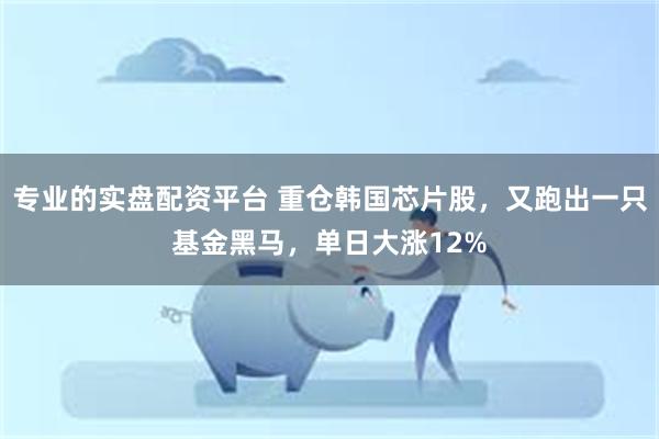 专业的实盘配资平台 重仓韩国芯片股,又跑出一只基金黑马,单日大涨12%
