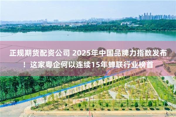正规期货配资公司 2025年中国品牌力指数发布！这家粤企何以连续15年蝉联行业榜首