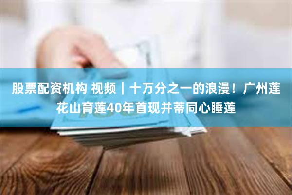 股票配资机构 视频｜十万分之一的浪漫！广州莲花山育莲40年首现并蒂同心睡莲