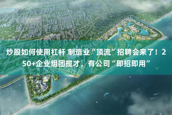 炒股如何使用杠杆 制造业“顶流”招聘会来了！250+企业组团揽才，有公司“即招即用”