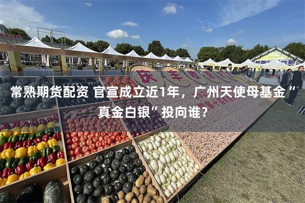 常熟期货配资 官宣成立近1年，广州天使母基金“真金白银”投向谁？