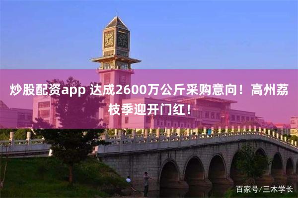 炒股配资app 达成2600万公斤采购意向！高州荔枝季迎开门红！