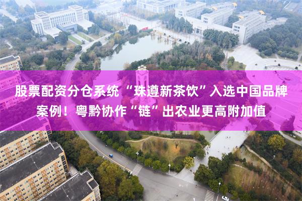 股票配资分仓系统 “珠遵新茶饮”入选中国品牌案例！粤黔协作“链”出农业更高附加值