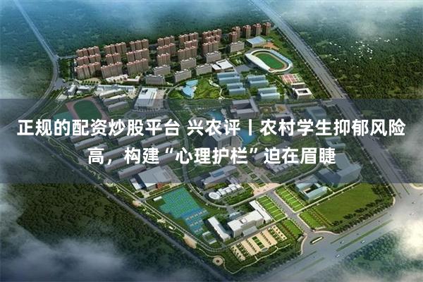 正规的配资炒股平台 兴农评丨农村学生抑郁风险高，构建“心理护栏”迫在眉睫