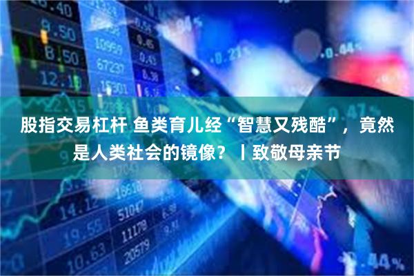 股指交易杠杆 鱼类育儿经“智慧又残酷”，竟然是人类社会的镜像？丨致敬母亲节
