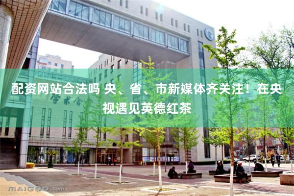 配资网站合法吗 央、省、市新媒体齐关注！在央视遇见英德红茶