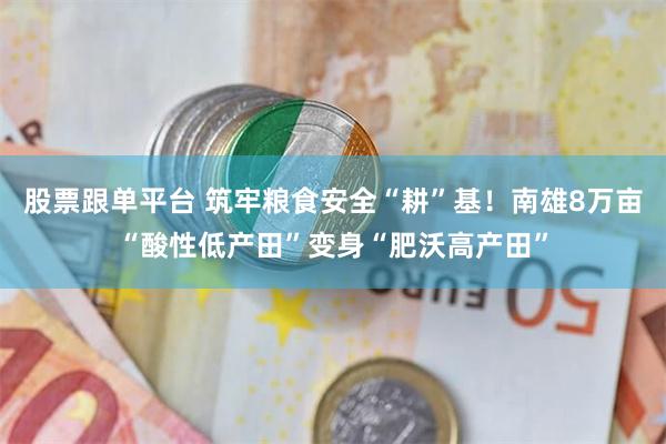 股票跟单平台 筑牢粮食安全“耕”基！南雄8万亩“酸性低产田”变身“肥沃高产田”