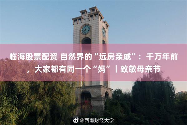 临海股票配资 自然界的“远房亲戚”：千万年前，大家都有同一个“妈”丨致敬母亲节