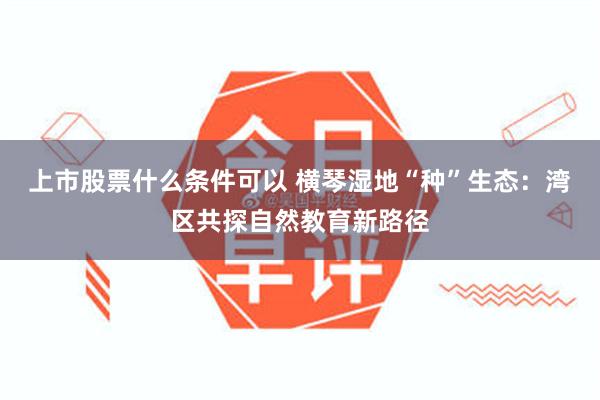 上市股票什么条件可以 横琴湿地“种”生态：湾区共探自然教育新路径