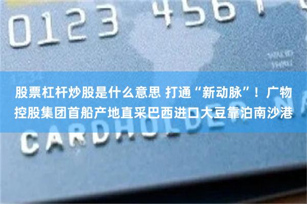 股票杠杆炒股是什么意思 打通“新动脉”!广物控股集团首船产地直采巴西进口大豆靠泊南沙港