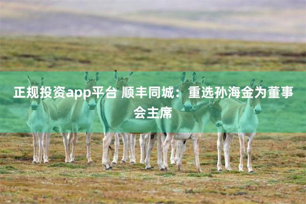 正规投资app平台 顺丰同城：重选孙海金为董事会主席