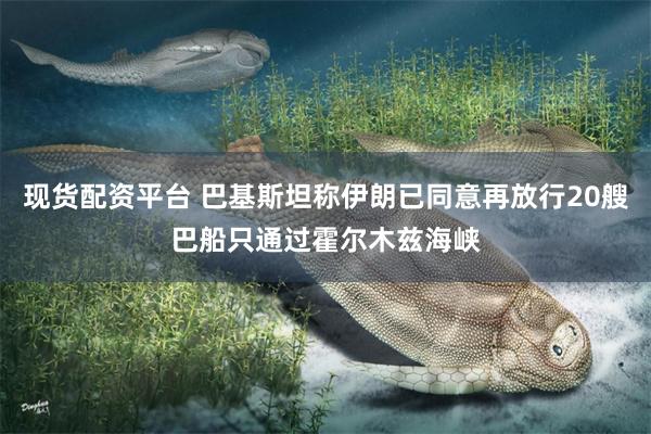 现货配资平台 巴基斯坦称伊朗已同意再放行20艘巴船只通过霍尔木兹海峡