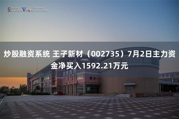 炒股融资系统 王子新材（002735）7月2日主力资金净买入1592.21万元