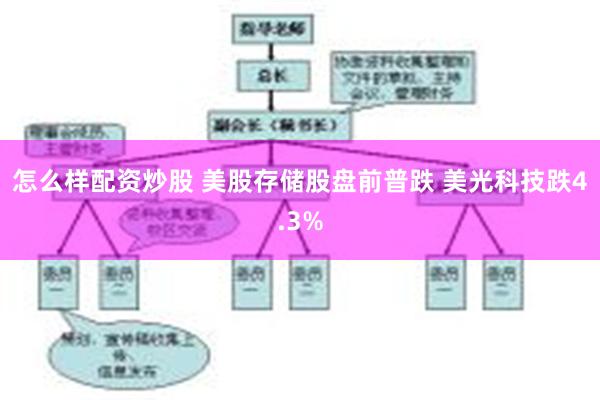 怎么样配资炒股 美股存储股盘前普跌 美光科技跌4.3%