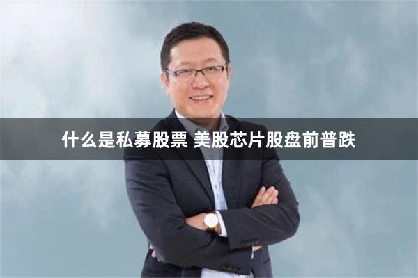 什么是私募股票 美股芯片股盘前普跌
