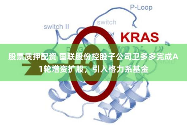 股票质押配资 国联股份控股子公司卫多多完成A1轮增资扩股，引入格力系基金