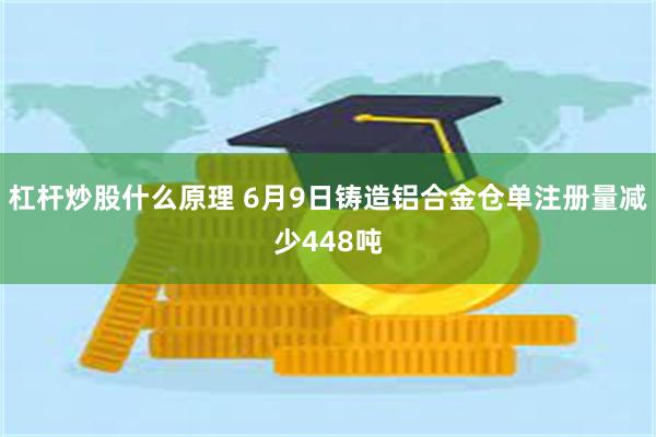 杠杆炒股什么原理 6月9日铸造铝合金仓单注册量减少448吨