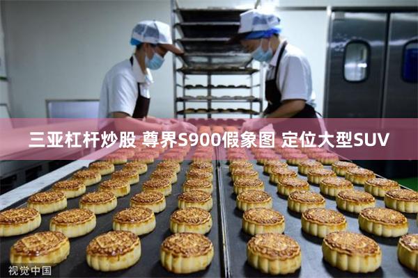 三亚杠杆炒股 尊界S900假象图 定位大型SUV