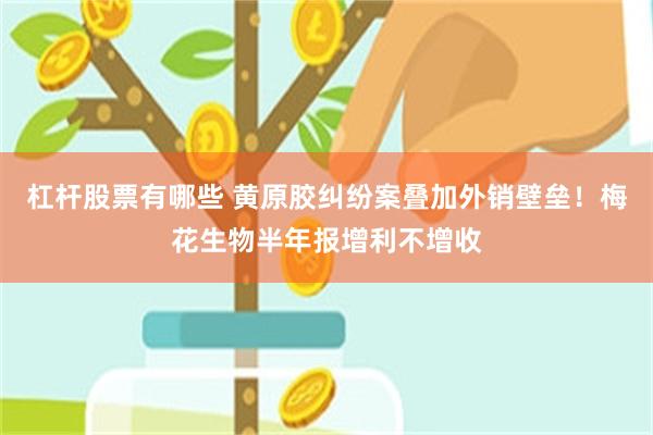 杠杆股票有哪些 黄原胶纠纷案叠加外销壁垒！梅花生物半年报增利不增收