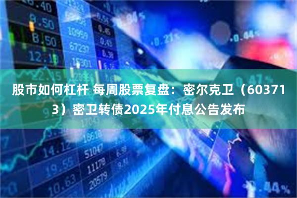 股市如何杠杆 每周股票复盘：密尔克卫（603713）密卫转债2025年付息公告发布