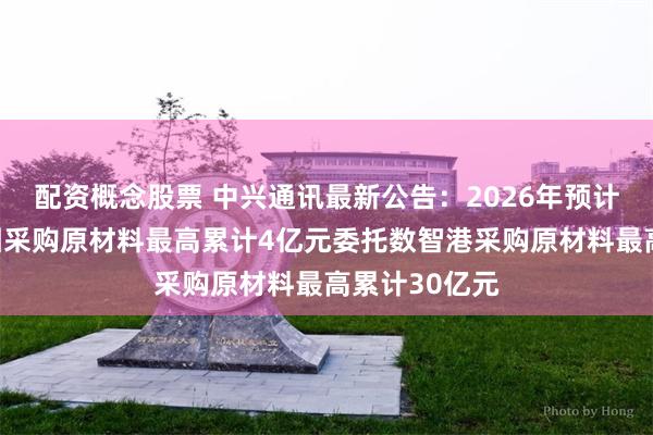 配资概念股票 中兴通讯最新公告：2026年预计向中兴新集团采购原材料最高累计4亿元委托数智港采购原材料最高累计30亿元