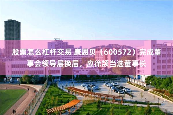 股票怎么杠杆交易 康恩贝（600572）完成董事会领导层换届，应徐颉当选董事长