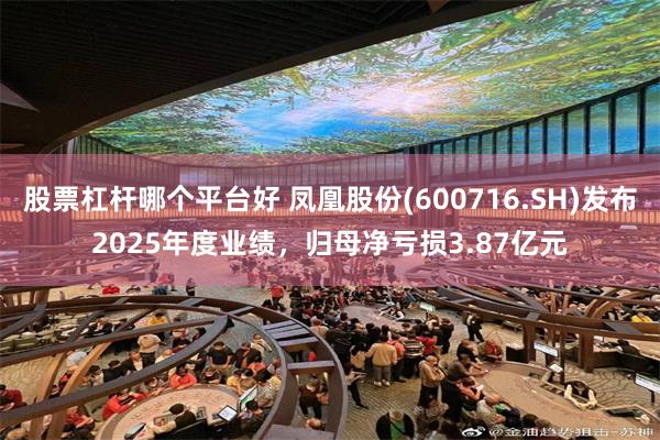 股票杠杆哪个平台好 凤凰股份(600716.SH)发布2025年度业绩,归母净亏损3.87亿元