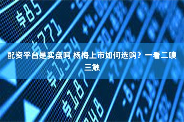 配资平台是实盘吗 杨梅上市如何选购？一看二嗅三触