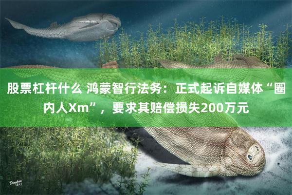 股票杠杆什么 鸿蒙智行法务：正式起诉自媒体“圈内人Xm”，要求其赔偿损失200万元