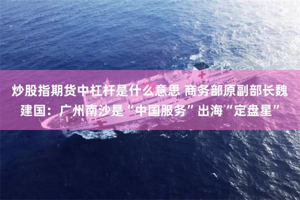 炒股指期货中杠杆是什么意思 商务部原副部长魏建国：广州南沙是“中国服务”出海“定盘星”