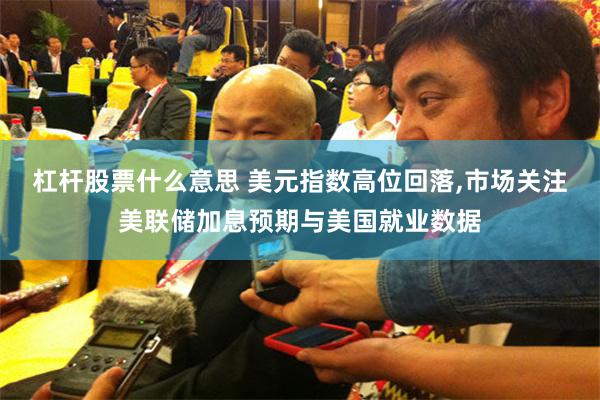 杠杆股票什么意思 美元指数高位回落,市场关注美联储加息预期与美国就业数据