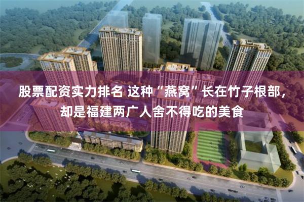 股票配资实力排名 这种“燕窝”长在竹子根部，却是福建两广人舍不得吃的美食