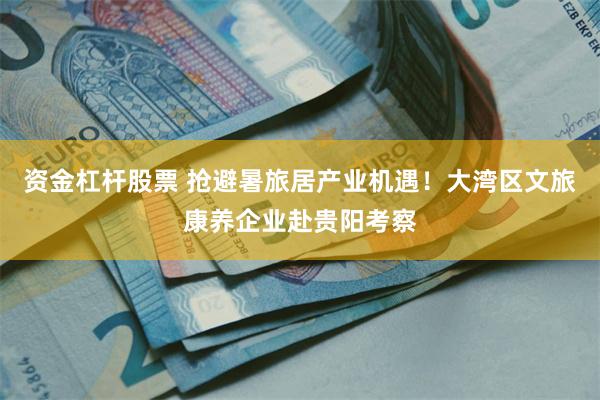 资金杠杆股票 抢避暑旅居产业机遇！大湾区文旅康养企业赴贵阳考察