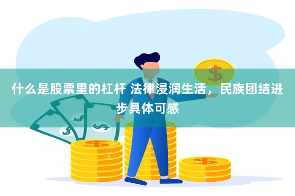 什么是股票里的杠杆 法律浸润生活，民族团结进步具体可感