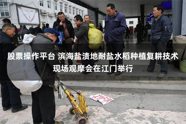 股票操作平台 滨海盐渍地耐盐水稻种植复耕技术现场观摩会在江门举行