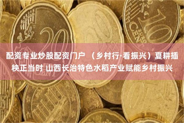 配资专业炒股配资门户 （乡村行·看振兴）夏耕插秧正当时 山西长治特色水稻产业赋能乡村振兴