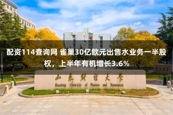 配资114查询网 雀巢30亿欧元出售水业务一半股权，上半年有机增长3.6%