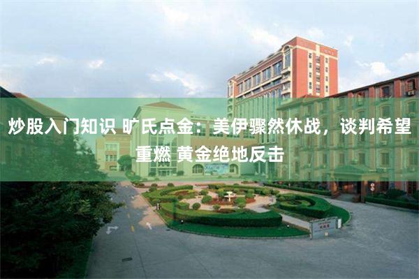 炒股入门知识 旷氏点金：美伊骤然休战，谈判希望重燃 黄金绝地反击