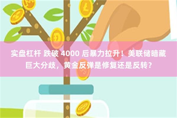 实盘杠杆 跌破 4000 后暴力拉升！美联储暗藏巨大分歧，黄金反弹是修复还是反转？