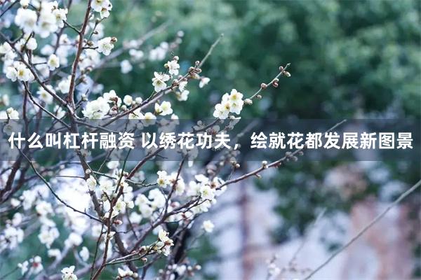 什么叫杠杆融资 以绣花功夫，绘就花都发展新图景